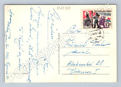 Pohlednice jírovec černobílá 1965 (M21101)