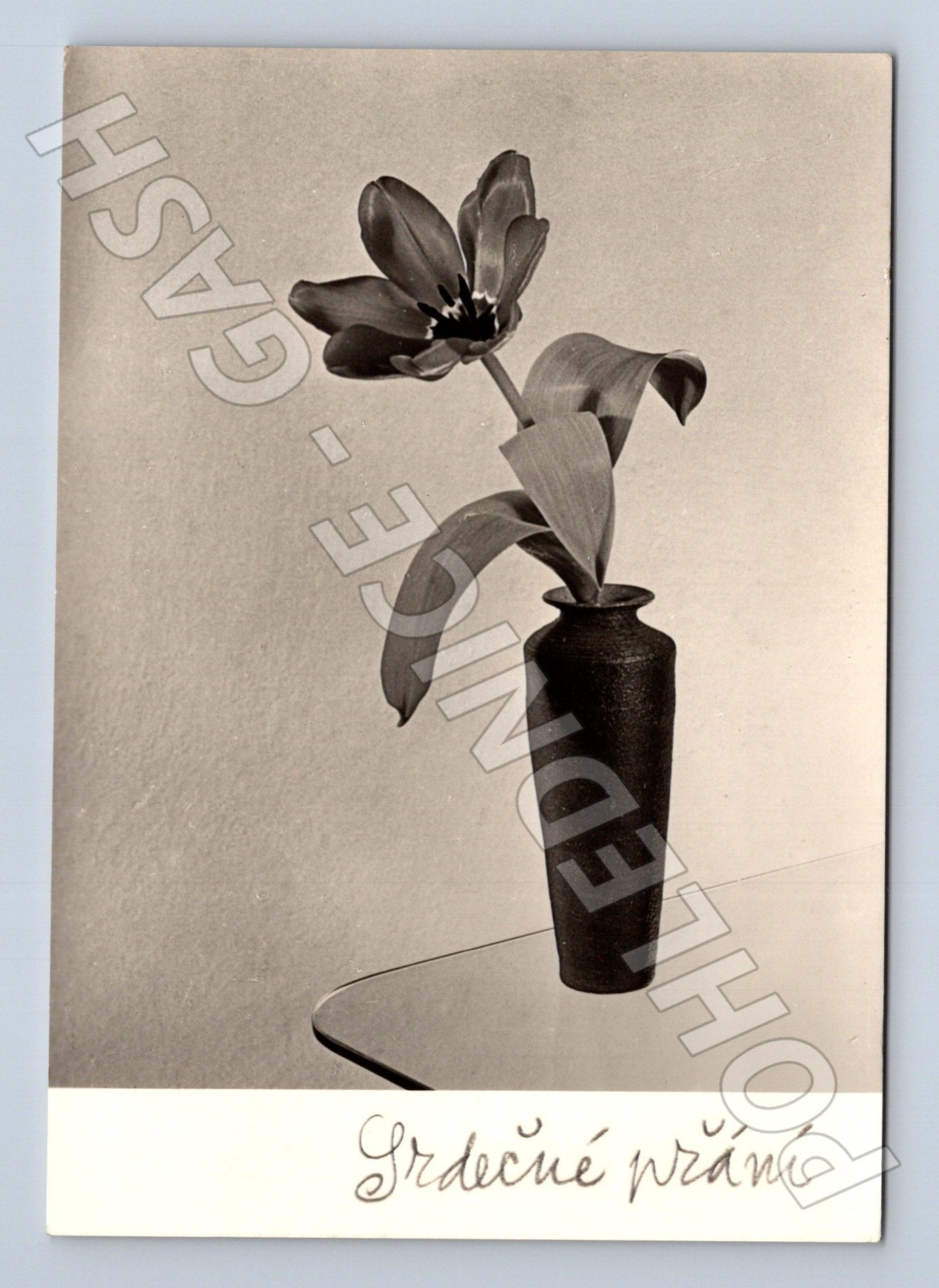 Pohlednice srdečné přání květina 1966 (M21104)