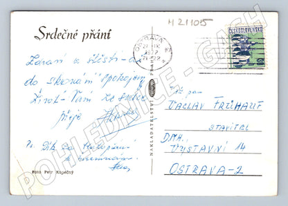 Pohlednice růže černobílá 1972 (M21105)
