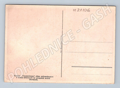 Pohlednice vlčí máky Vincentinum (M21106)