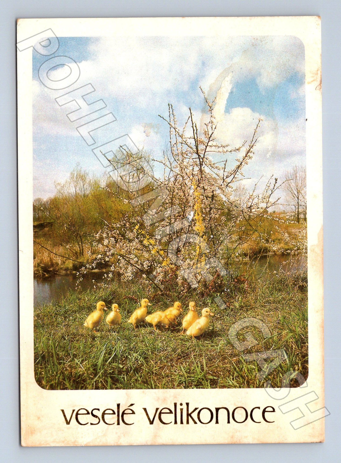 Pohlednice velikonoční housata 1982 (M21121)