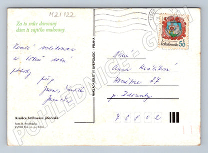 Pohlednice velikonoční batikované kraslice (M21122)