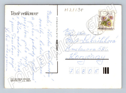 Pohlednice velikonoční pomlázka vejce květiny (M21138)