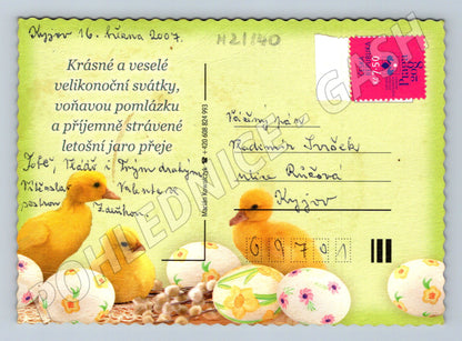 Pohlednice velikonoční kuřátka vajíčka květiny (M21140)