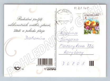 Pohlednice velikonoční květiny kraslice (M21148)