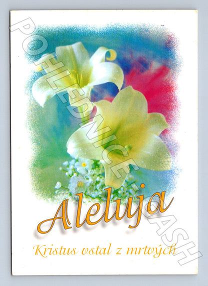 Pohlednice velikonoční Aleluja květiny 2007 (M21159)