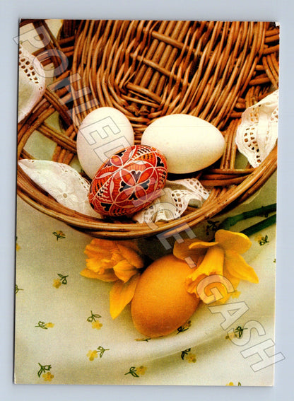 Pohlednice velikonoční kraslice narcisy košík (M21164)