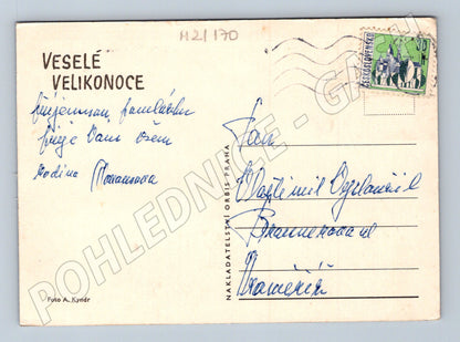 Pohlednice velikonoční beránek kuřátko kraslice (M21170)