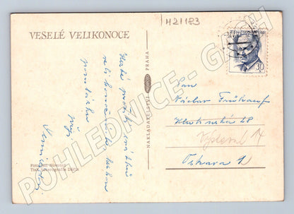 Pohlednice velikonoční kraslice kuřátka (M21183)
