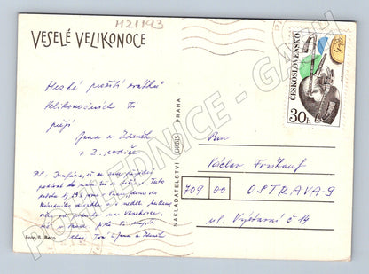 Pohlednice velikonoční stádo ovcí na svahu (M21193)