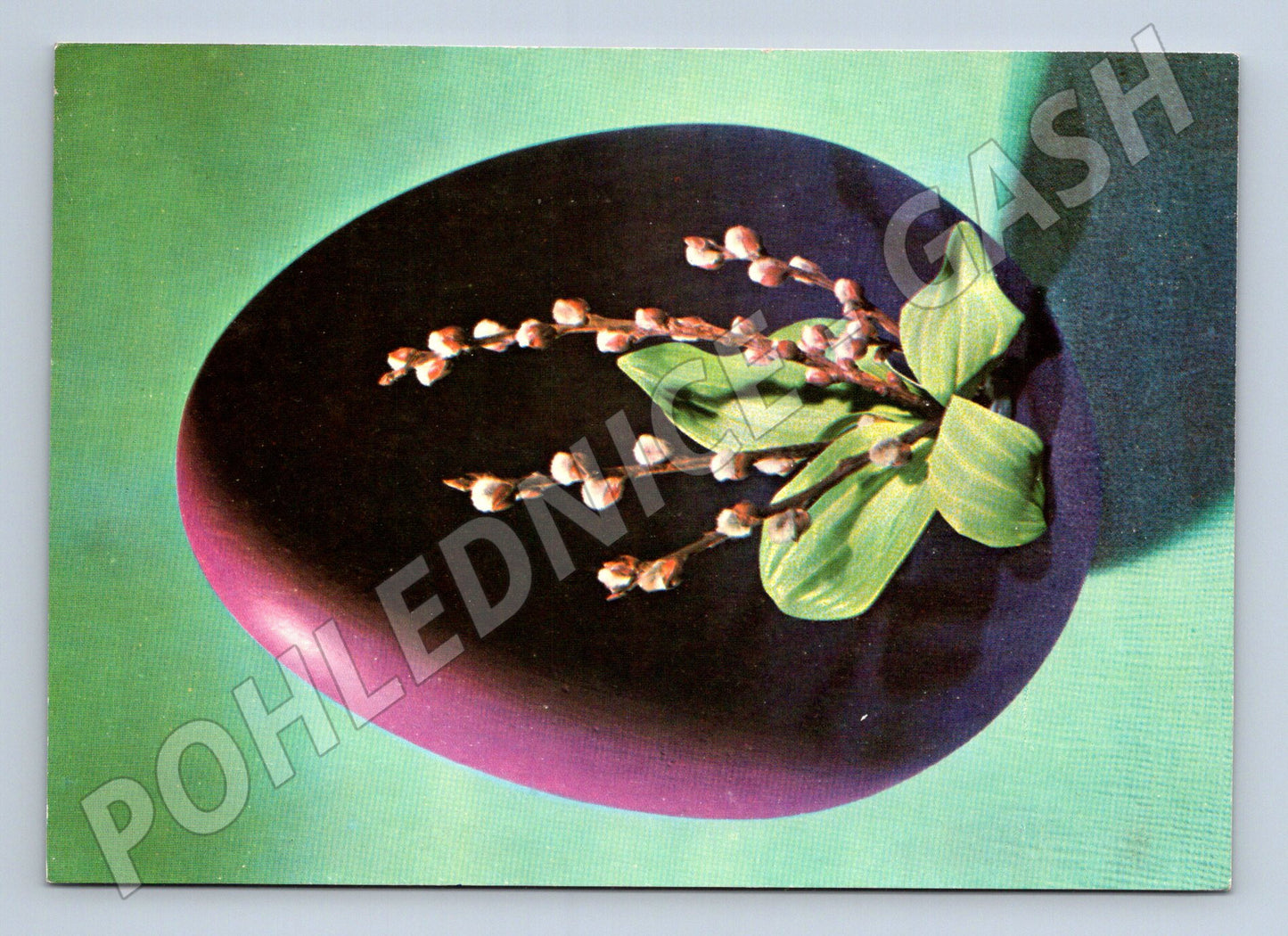 Pohlednice velikonoční kočičky 1974 (M21207)