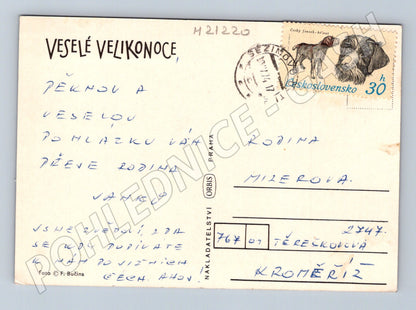 Pohlednice velikonoční kočičky pomlázka (M21220)