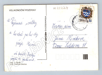Pohlednice velikonoční kraslice narcisy (M21224)