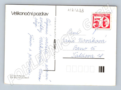 Pohlednice velikonoční kraslice kočičky psaná (M21233)