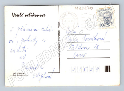 Pohlednice velikonoční modré a bílé vejce 1985 (M21270)