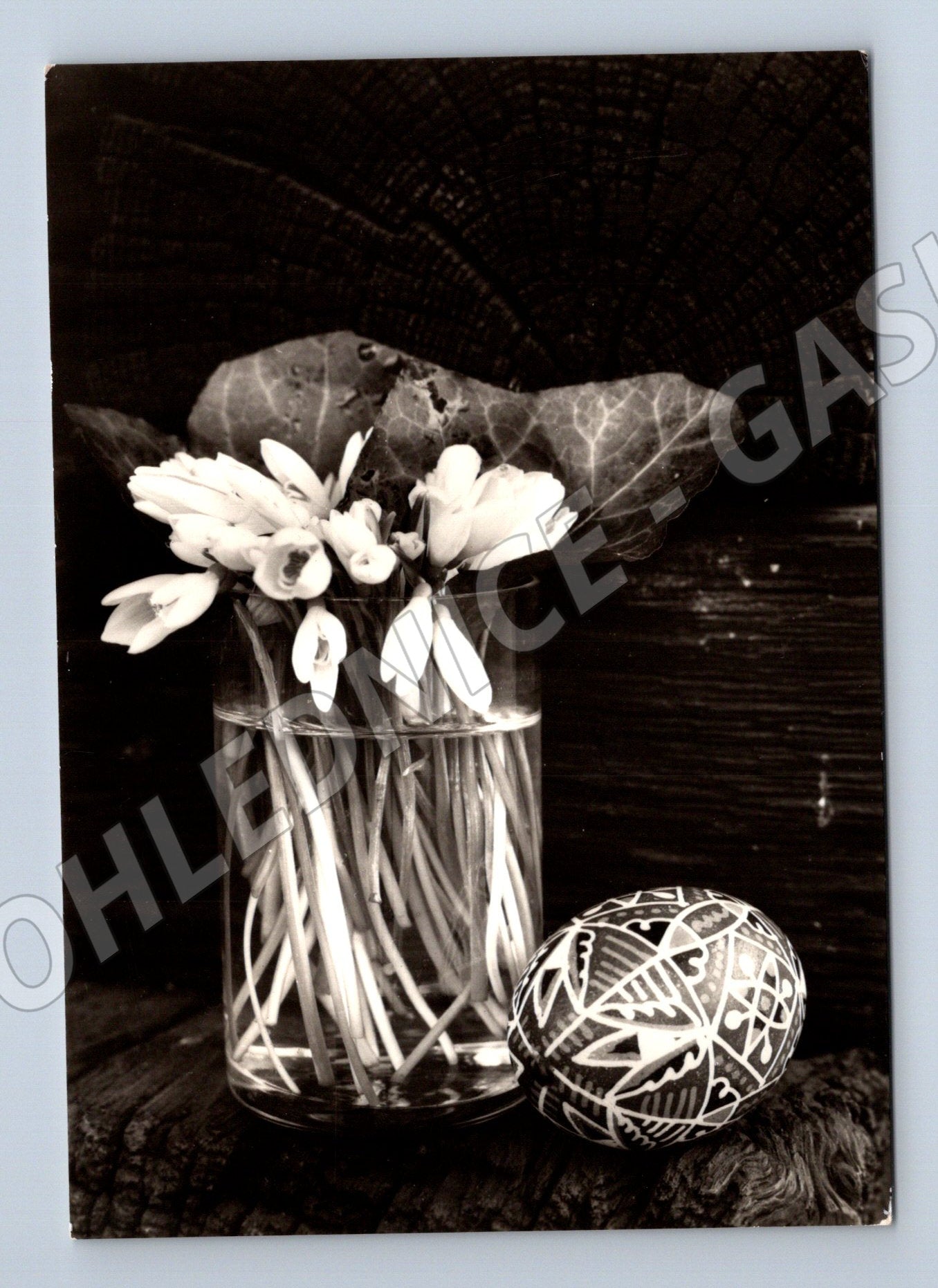 Pohlednice velikonoční sněženky kraslice 1947 (M21283)