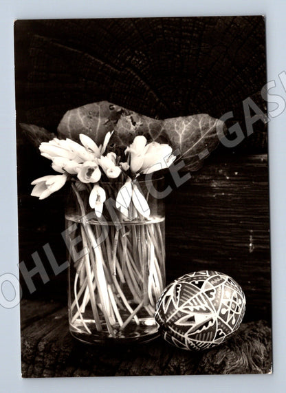 Pohlednice velikonoční sněženky kraslice 1947 (M21283)