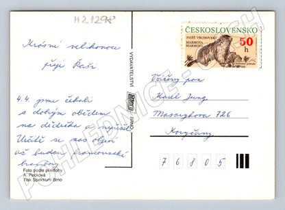 Pohlednice velikonoční dítě a vejce (M21298)
