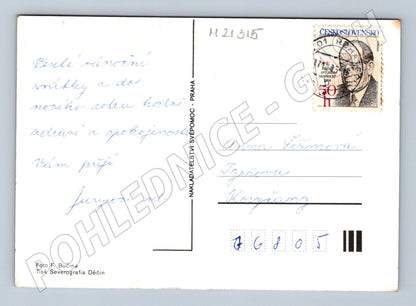 Pohlednice vánoční mísa s ovocem jehličnan 1984 (M21315)