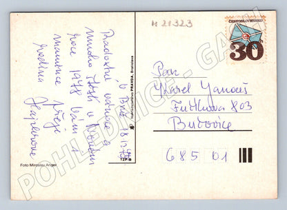 Pohlednice Slovensko zasněžená krajina 1981 (M21323)