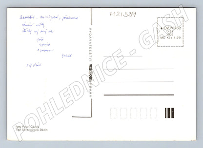 Pohlednice vánoční radostné vánoce velký formát (M21339)
