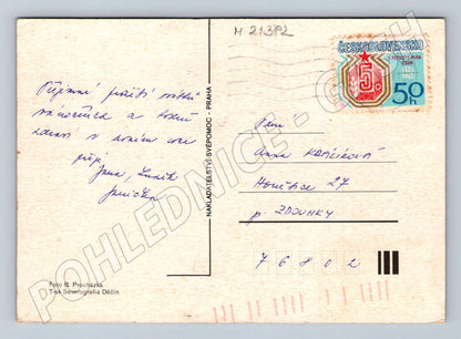 Pohlednice vánoční Radostné Vánoce 1955 (M21382)