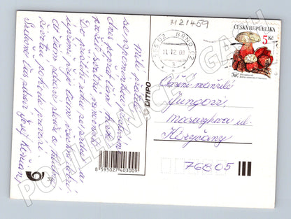 Pohlednice vánoční přání známka 2000 (M21459)