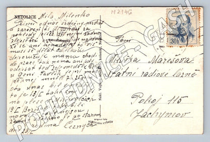 Pohlednice Netolice PP (M2146)