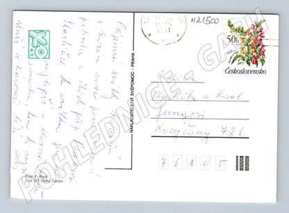 Pohlednice vánoční zátiší s jablky a ořechy (M21500)