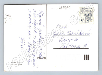 Pohlednice Veselé Vánoce ořechy jablka použitá (M21529)