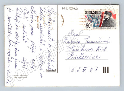 Pohlednice Veselé Vánoce jablko ořechy jehličí (M21543)