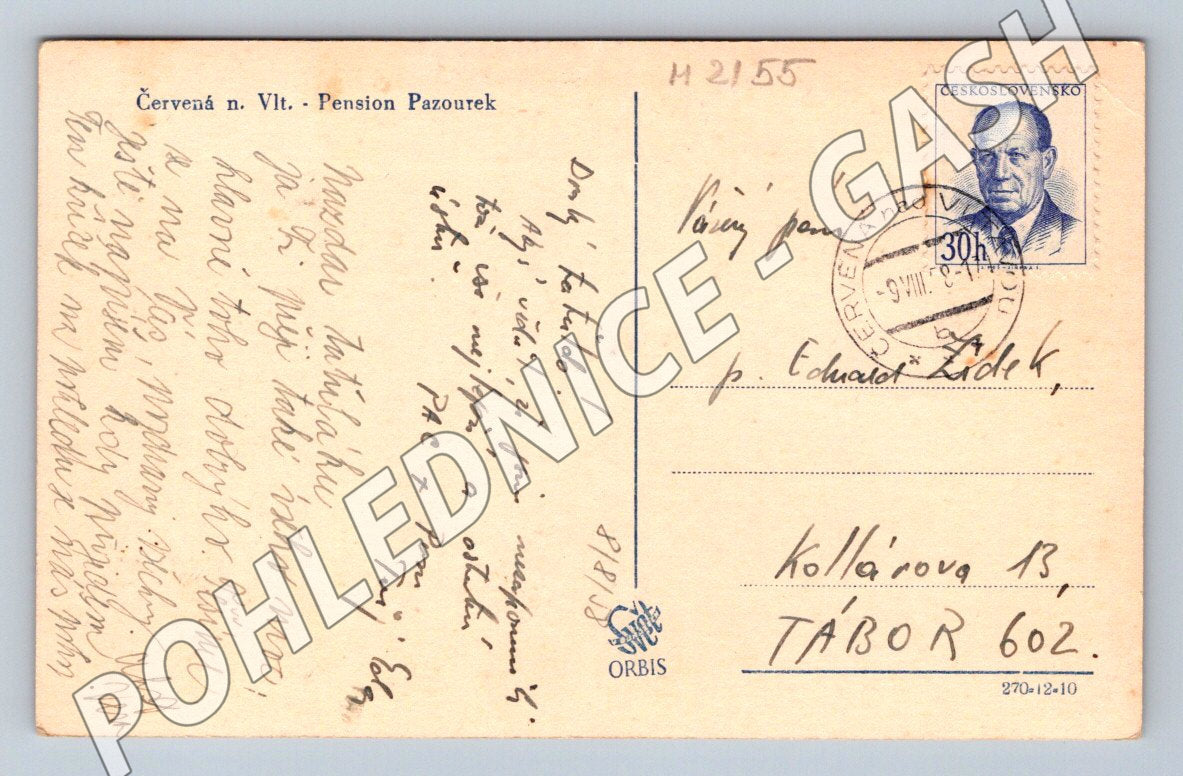 Pohlednice Červená nad Vltavou Pension Pazourek PP 1951 (M2155)