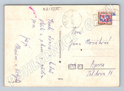 Pohlednice zimní krajina zasněžené stromy (M21555)