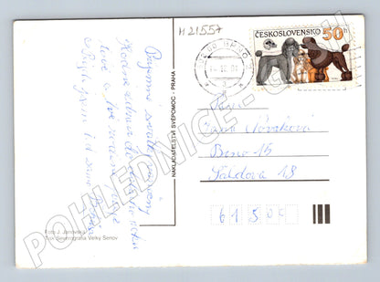 Pohlednice Radostné Vánoce použitá 1981 (M21557)