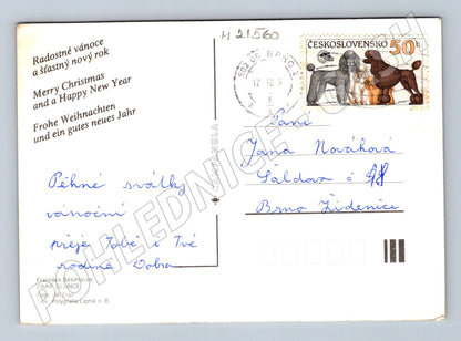 Pohlednice Zimní slunce zimní krajina 1979 (M21560)