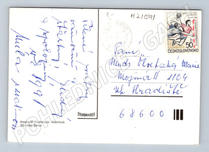 Pohlednice Madona s dítětem Fischerová-Kvěchová (M21591)