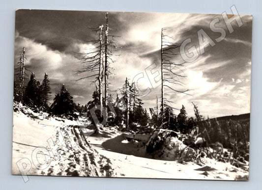 Pohlednice zimní krajina Anger 1972 (M21599)