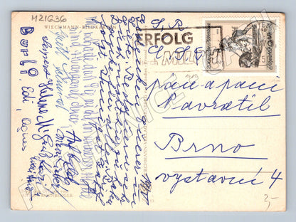 Pohlednice Anton Kolnberger dítě pes (M21636)