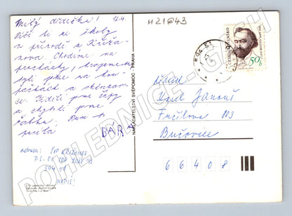 Pohlednice dítě v listech (M21643)