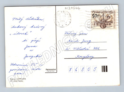 Pohlednice Neprakta houbař (M21644)
