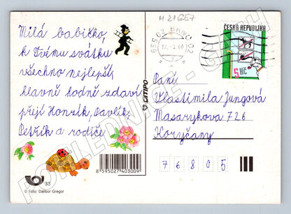 Pohlednice pudlové veselý motiv 2000 (M21657)