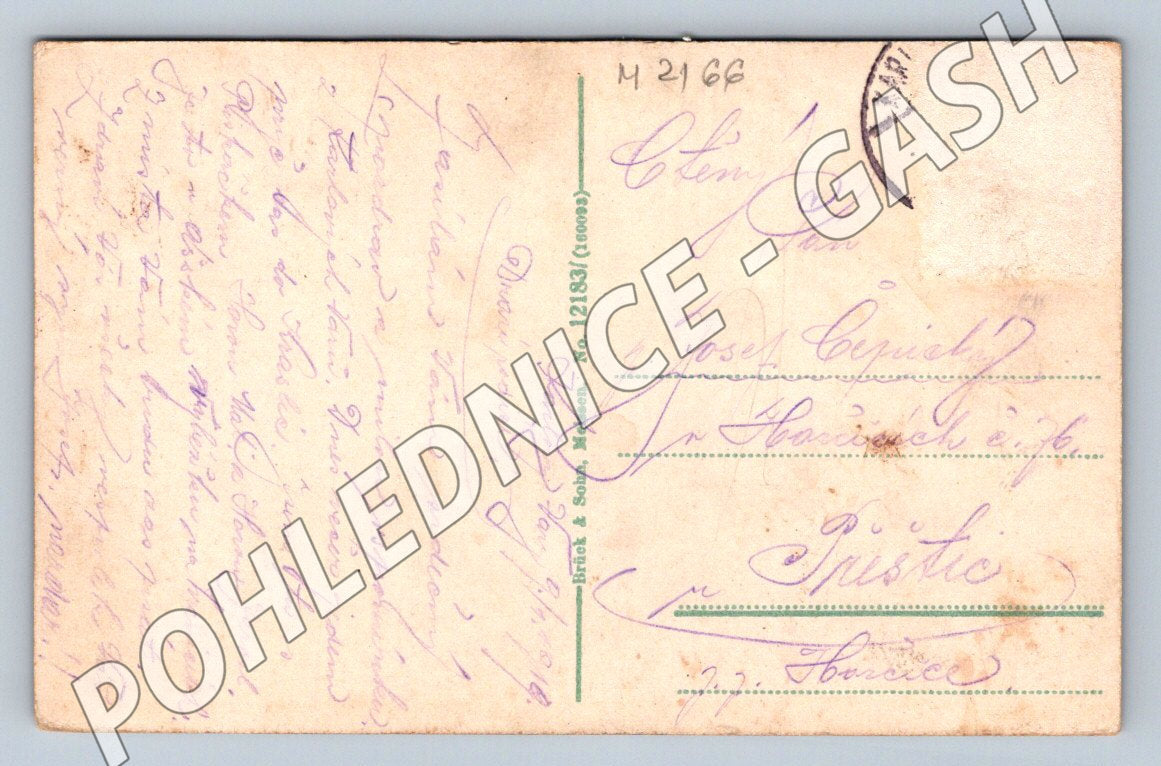 Pohlednice Karlovy Vary Karlsbad Alte und Neue Wiese 1919 (M2166)