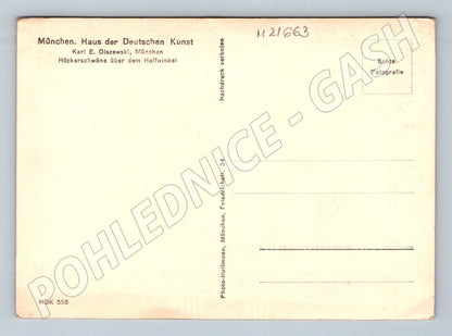 Pohlednice letící labutě Olszewski (M21663)