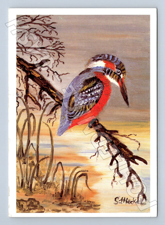 Pohlednice datel malovaný motiv 1987 (M21671)