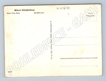 Pohlednice Wiener Künstlerhaus jelen (M21673)