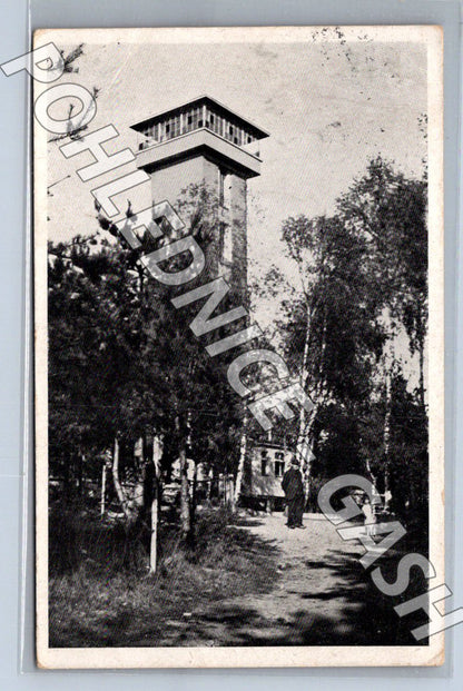 Pohlednice Kašperské Hory Kožova hora rozhledna (M2172)