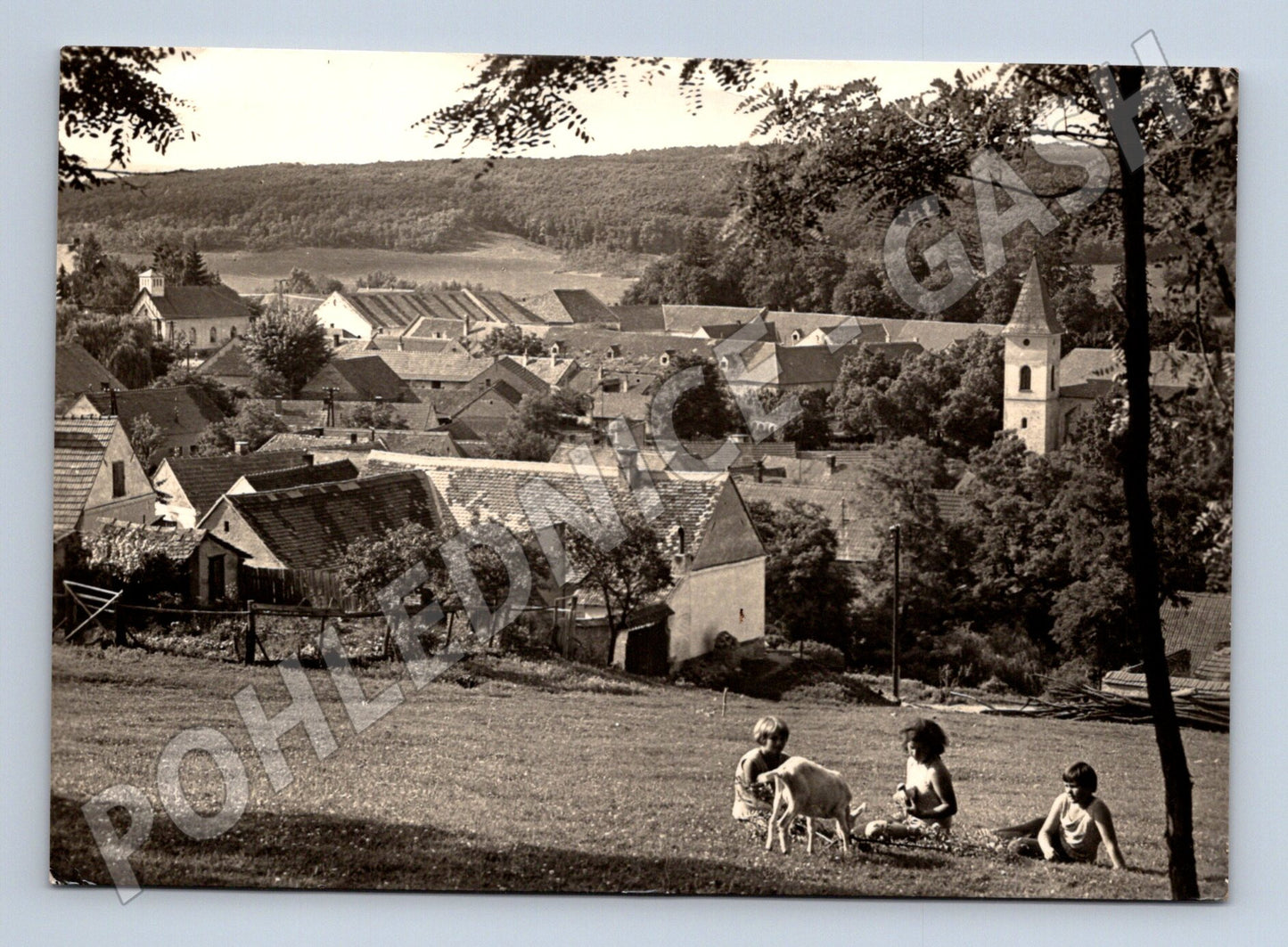 Pohlednice Vémyslice vesnická idyla 1968 (M21759)