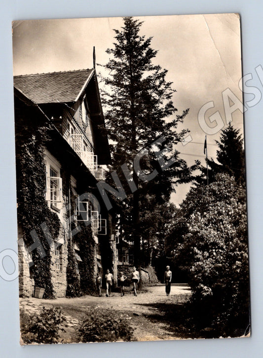Pohlednice Rajnochovice Lesní dětská ozdravovna (M21823)