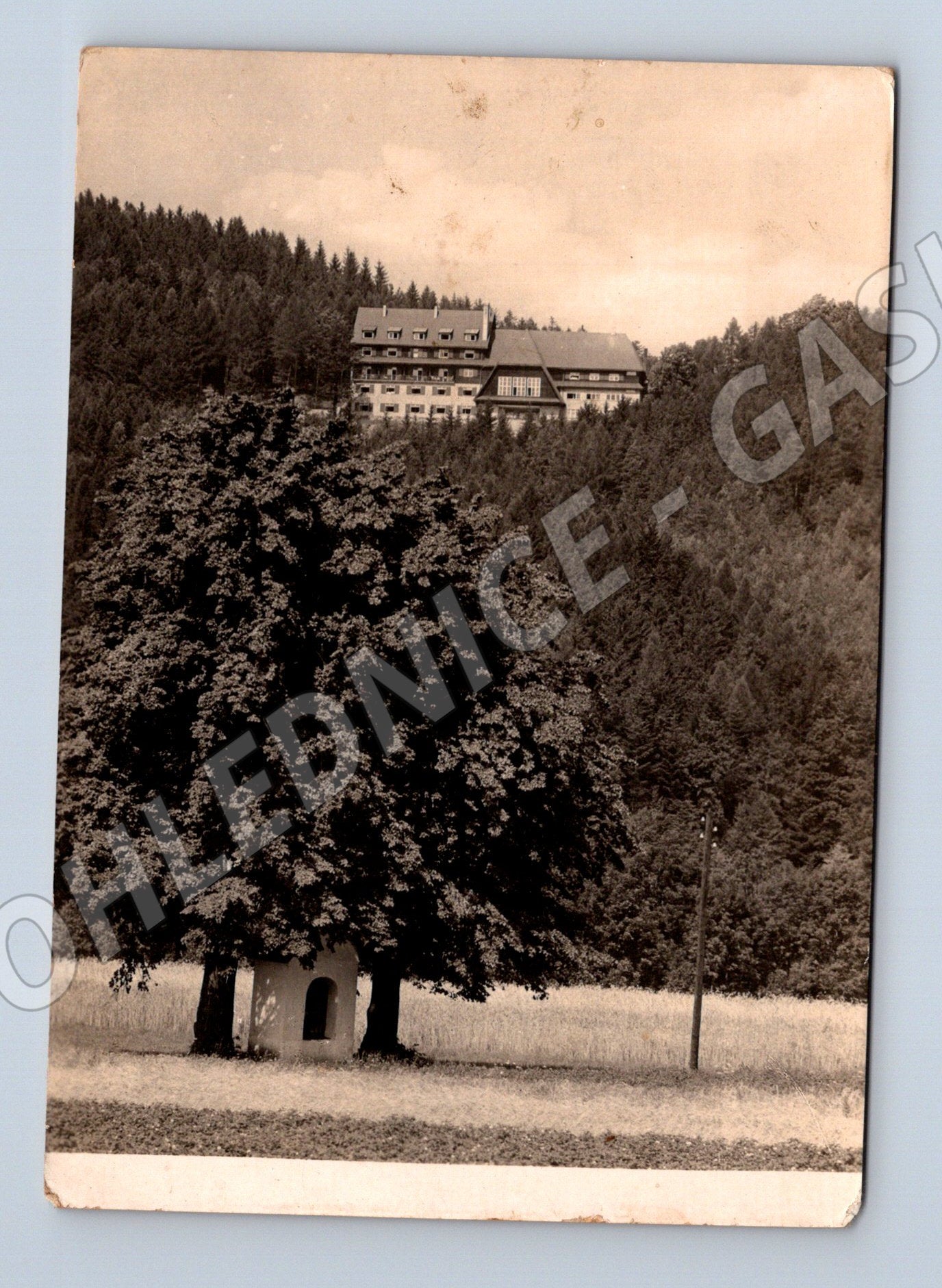 Pohlednice Frenštát pod Radhoštěm Hotel Vlčina 1940 (M21837)