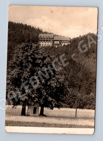 Pohlednice Frenštát pod Radhoštěm Hotel Vlčina 1940 (M21837)